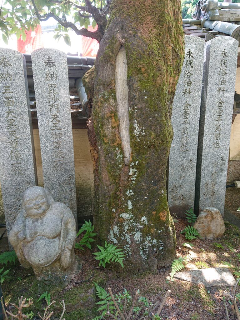 吉野かわかみ社中 御朱印部 吉野杉の御朱印帳