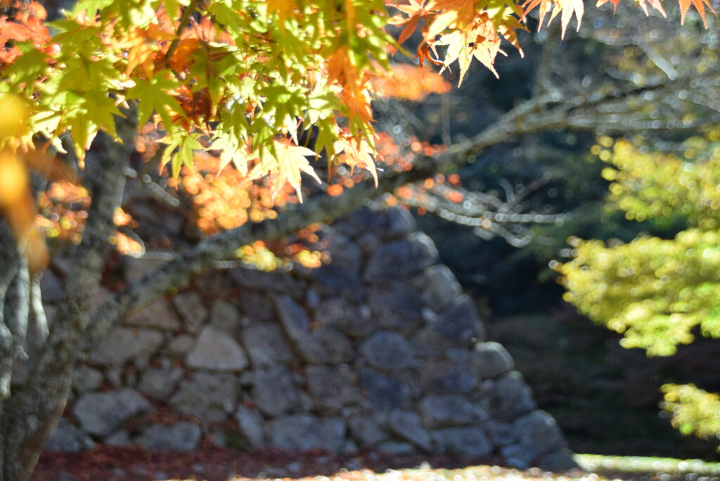 吉野かわかみ社中 御朱印部 吉野杉の御朱印帳