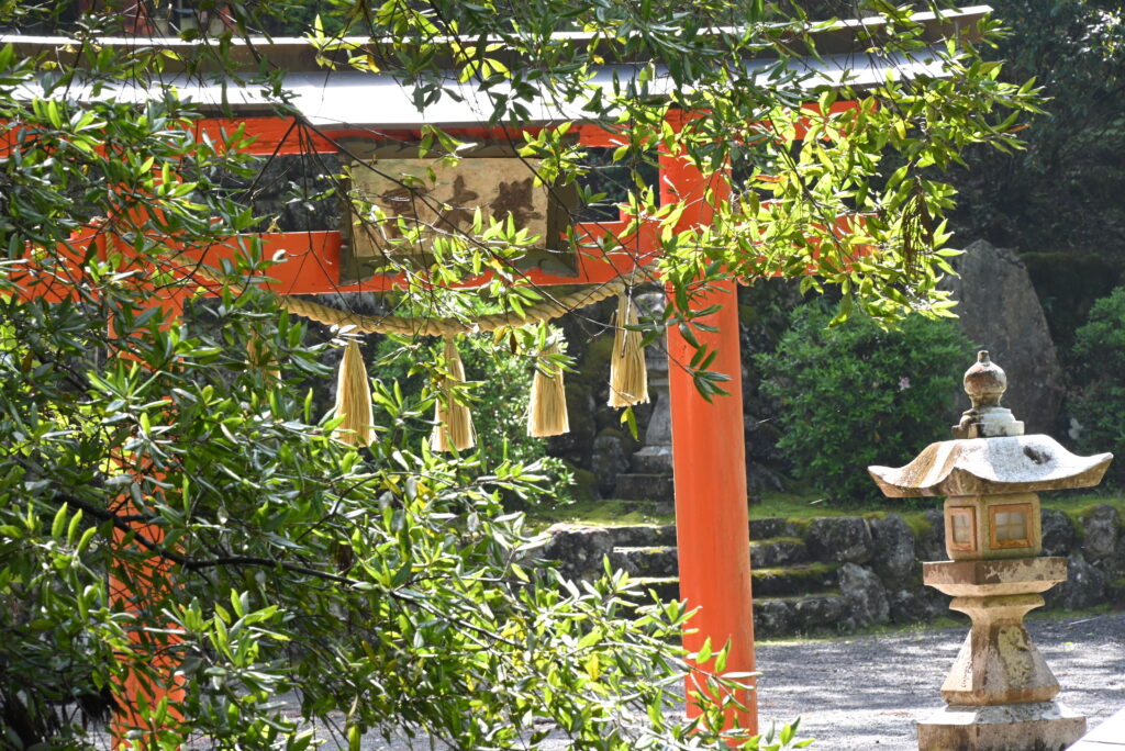 吉野かわかみ社中 御朱印部 吉野杉の御朱印帳