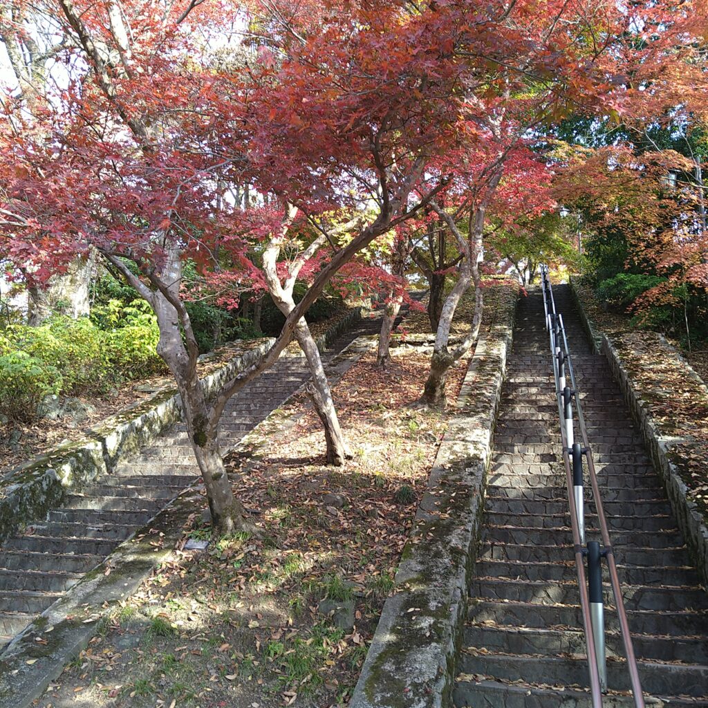 吉野かわかみ社中 御朱印部 吉野杉の御朱印帳