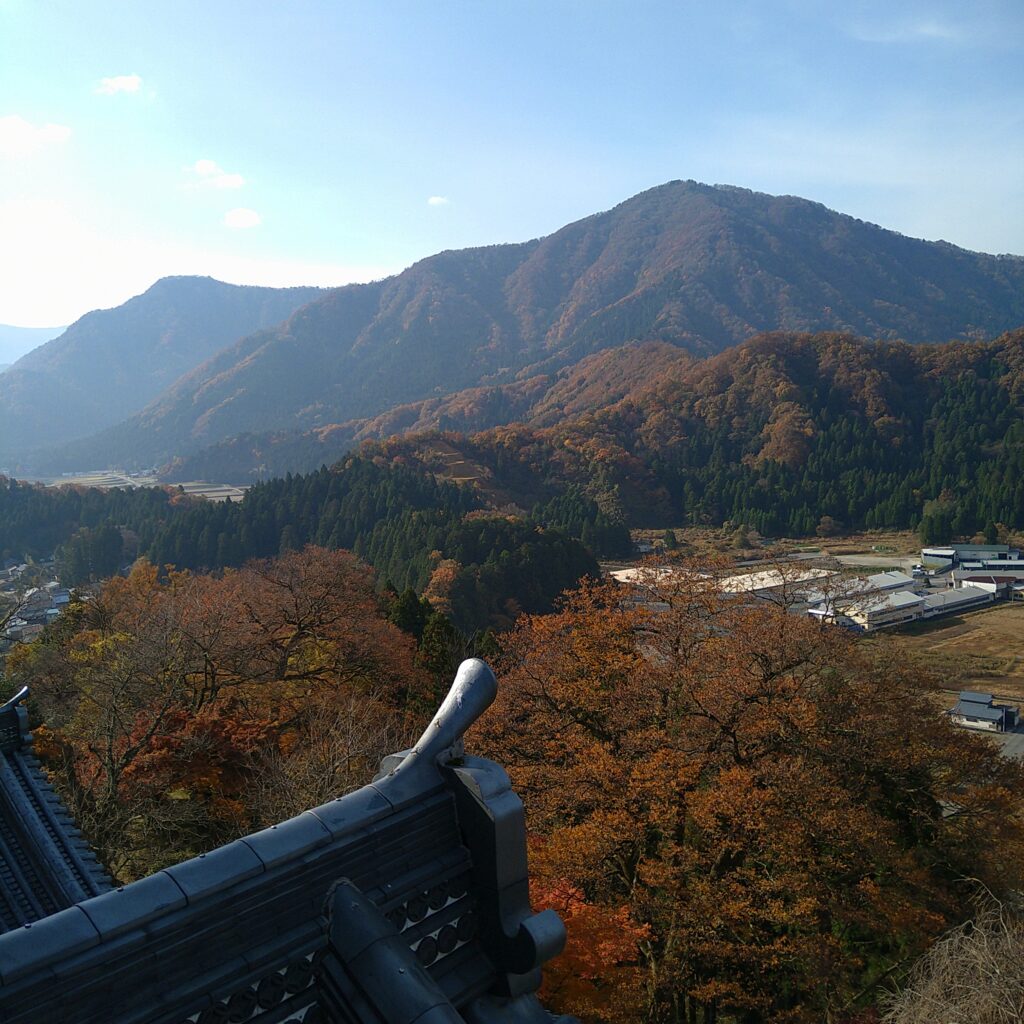 吉野かわかみ社中 御朱印部 吉野杉の御朱印帳