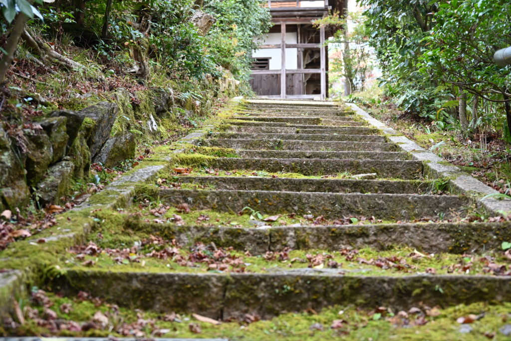 吉野かわかみ社中 御朱印部 吉野杉の御朱印帳