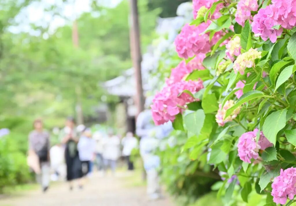 吉野かわかみ社中 御朱印部 吉野杉の御朱印帳